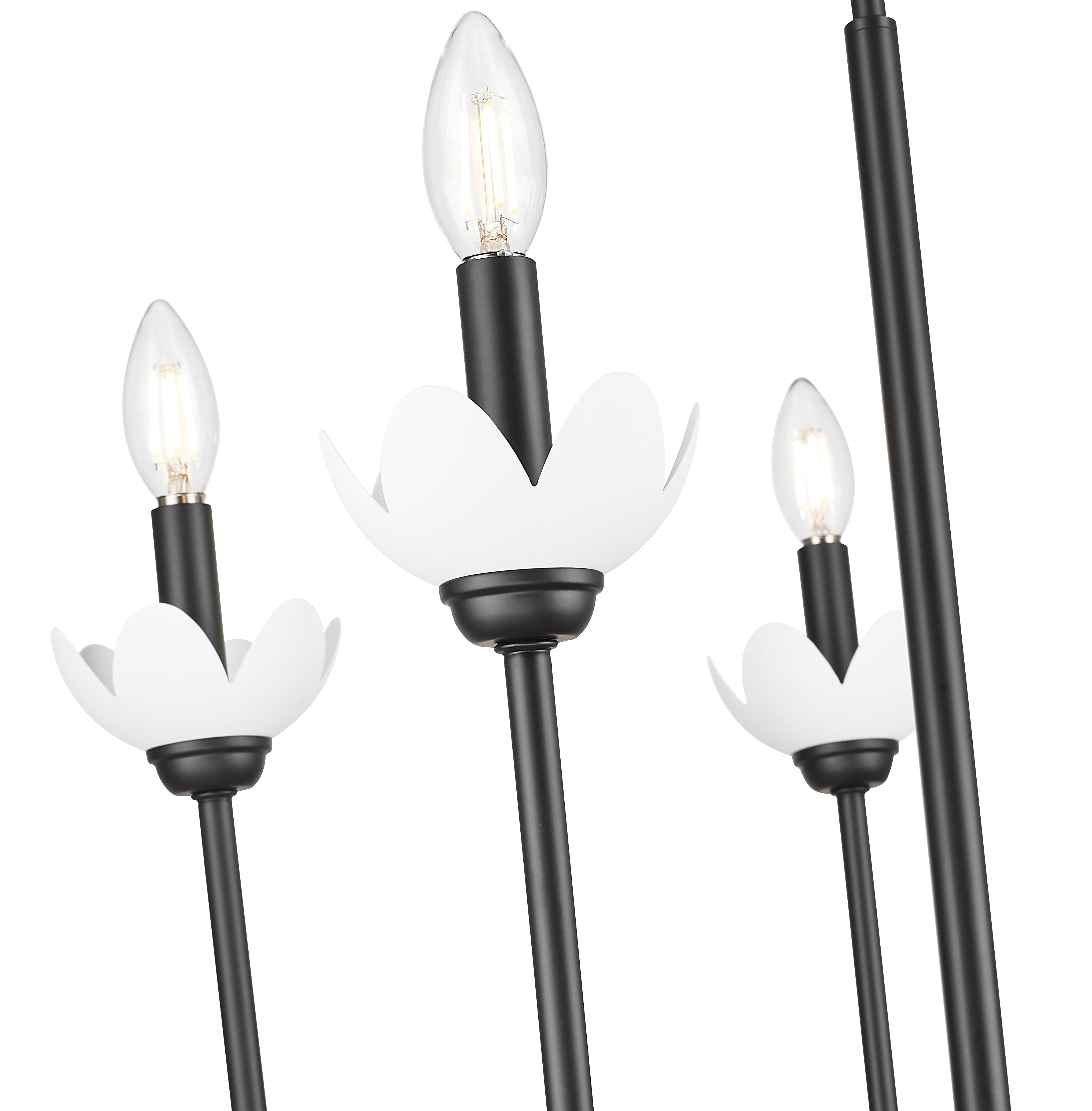 Allistair 5 Light Chandelier Matte Black