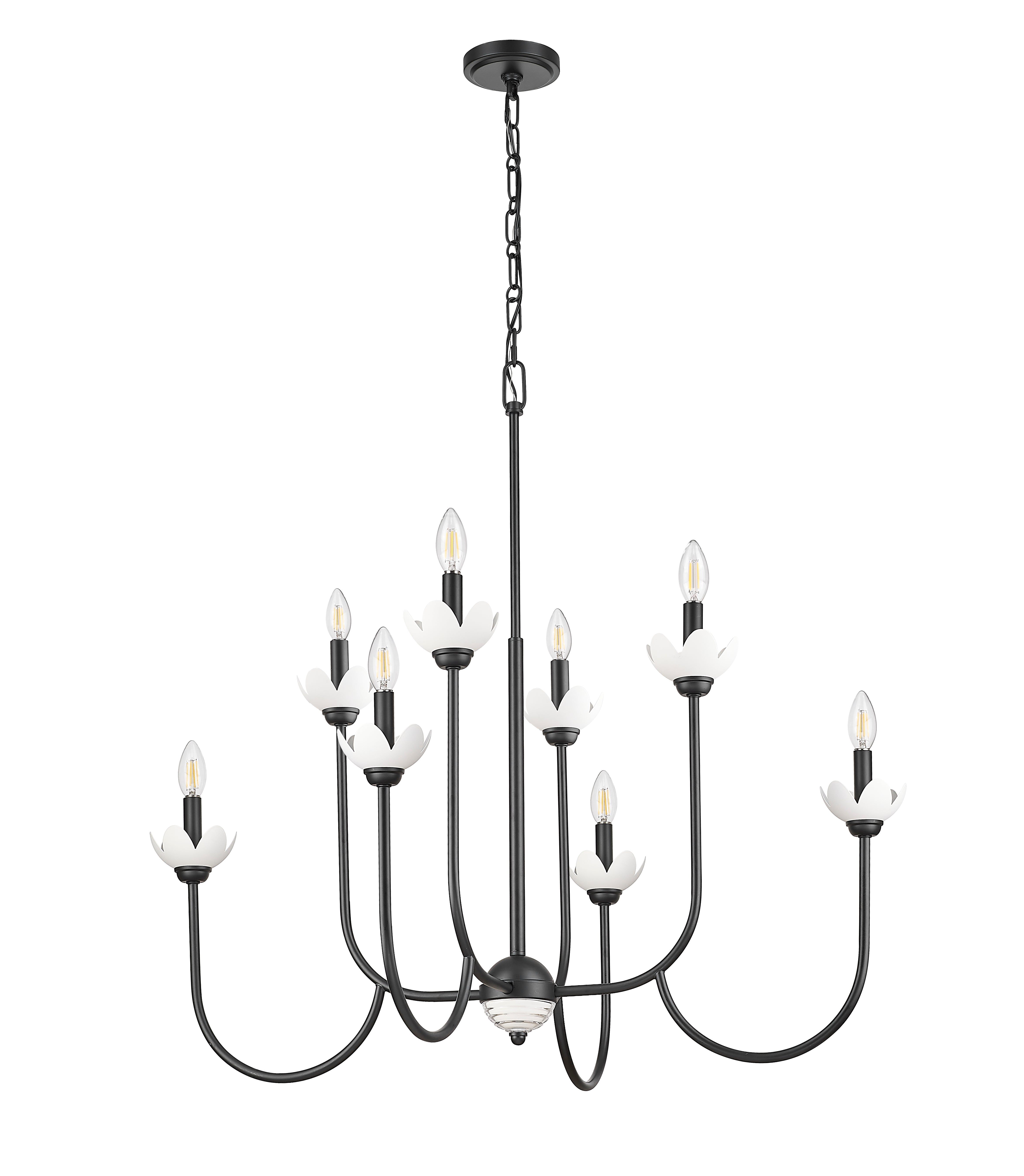 Allistair 8 Light Chandelier Matte Black