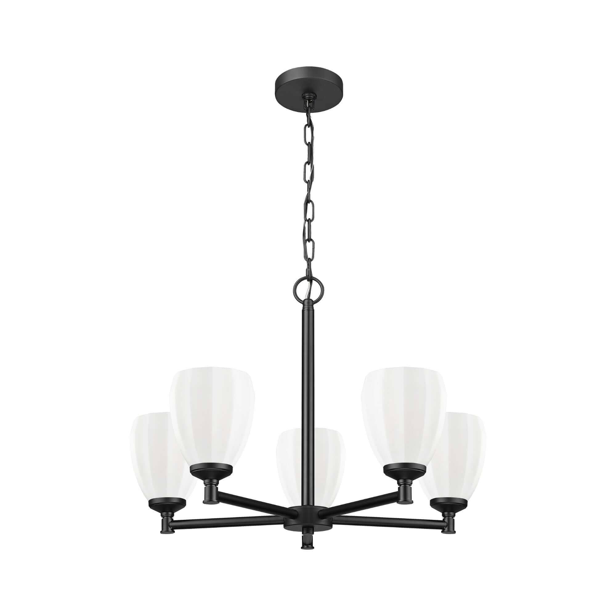 Oren 5 Light Chandelier Matte Black