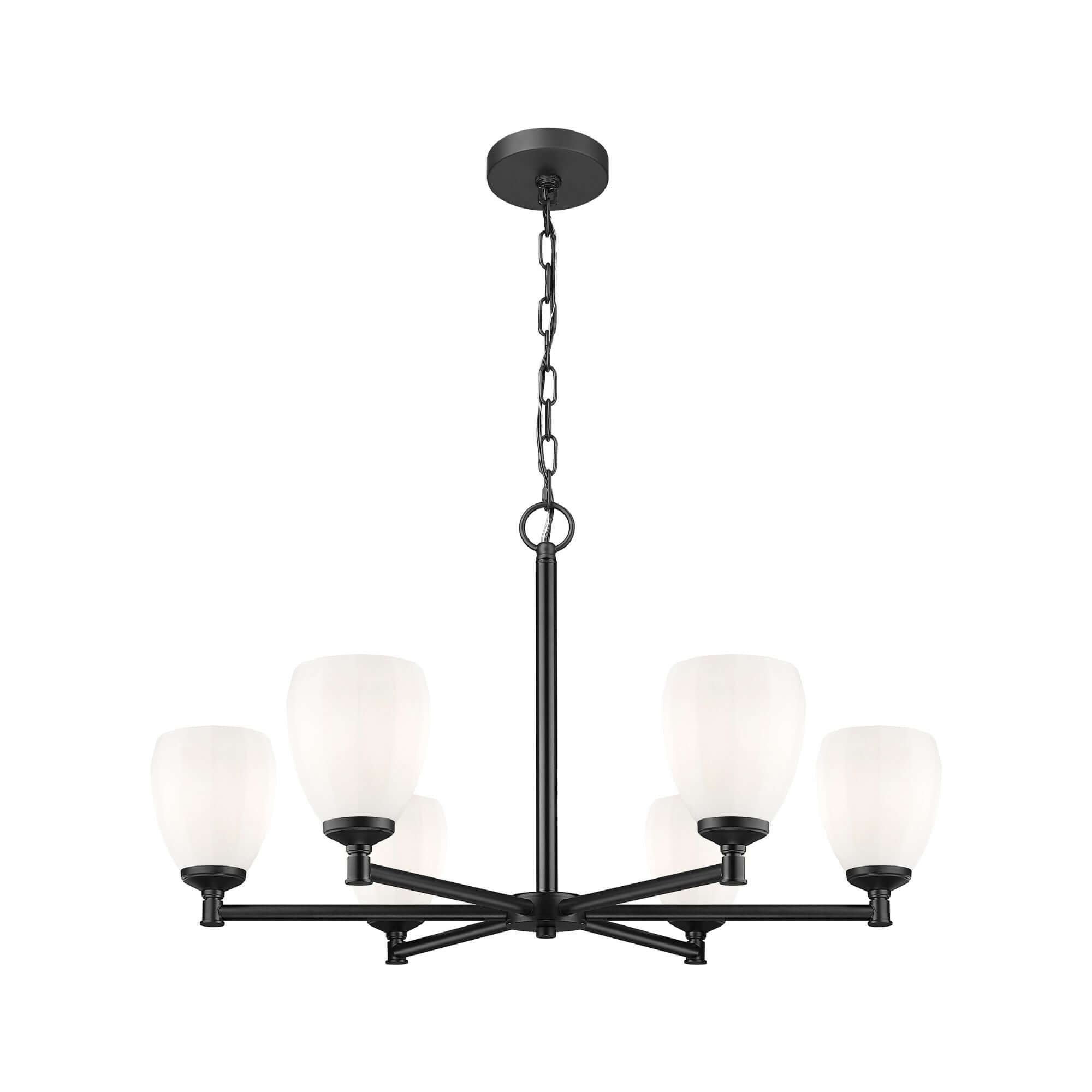 Oren 6 Light Chandelier Matte Black