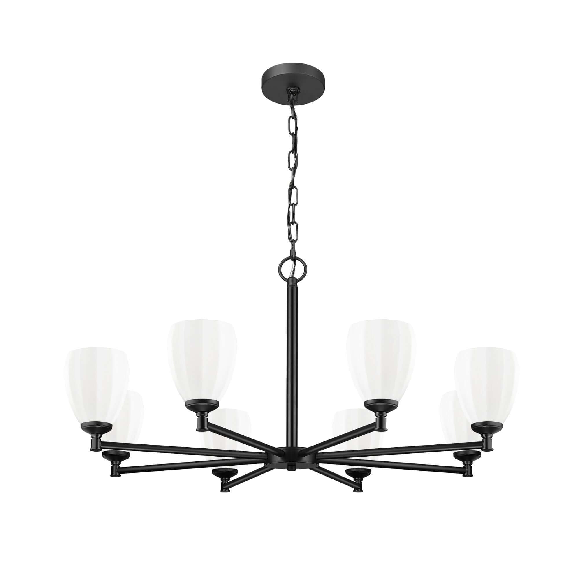 Oren 8 Light Chandelier Matte Black