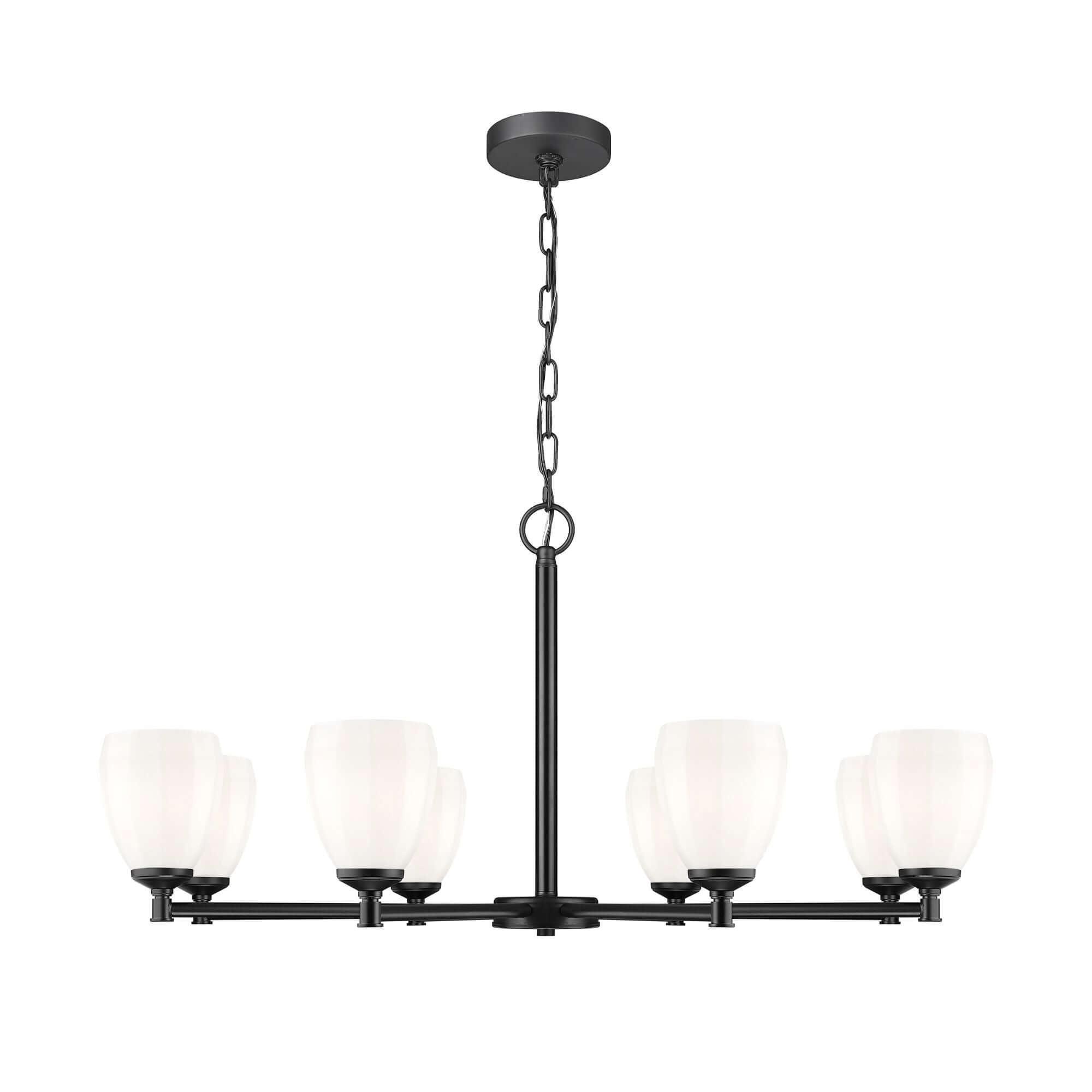 Oren 8 Light Chandelier Matte Black