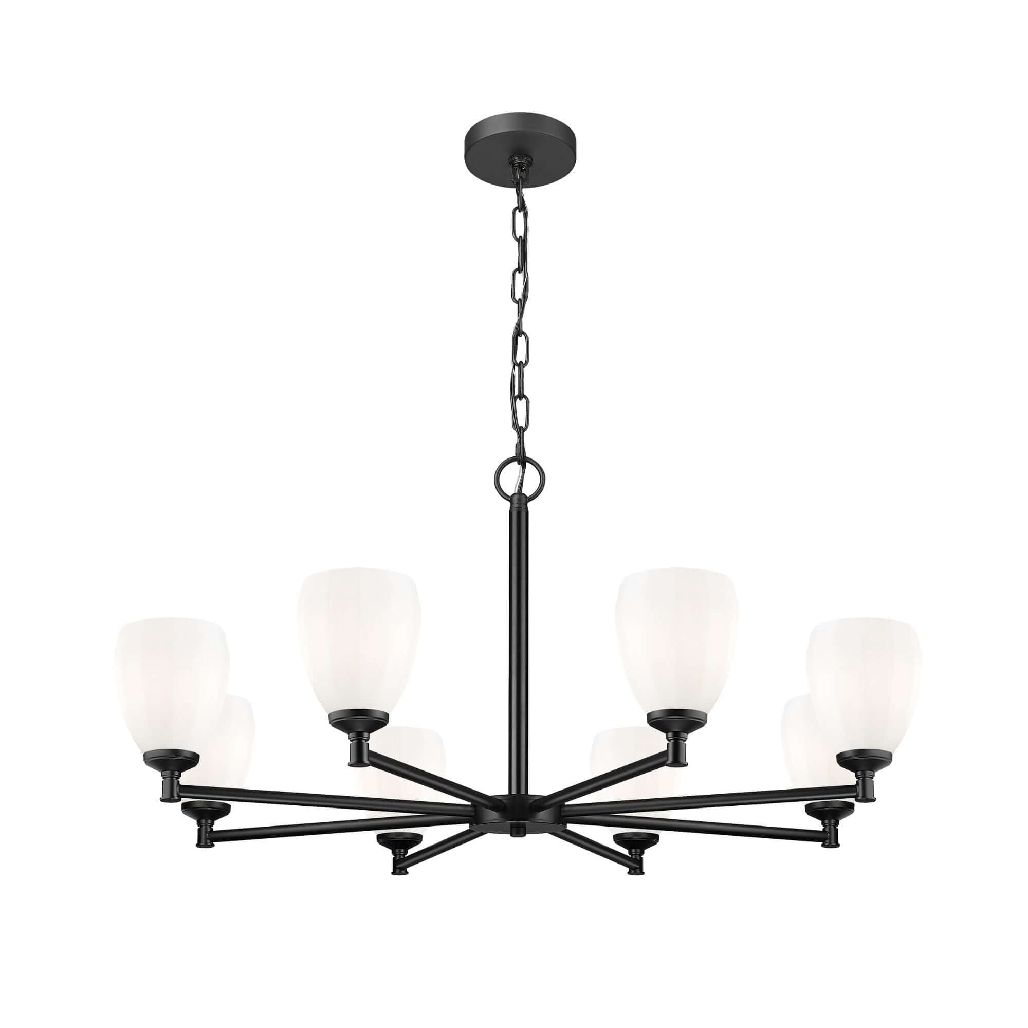 Oren 8 Light Chandelier Matte Black